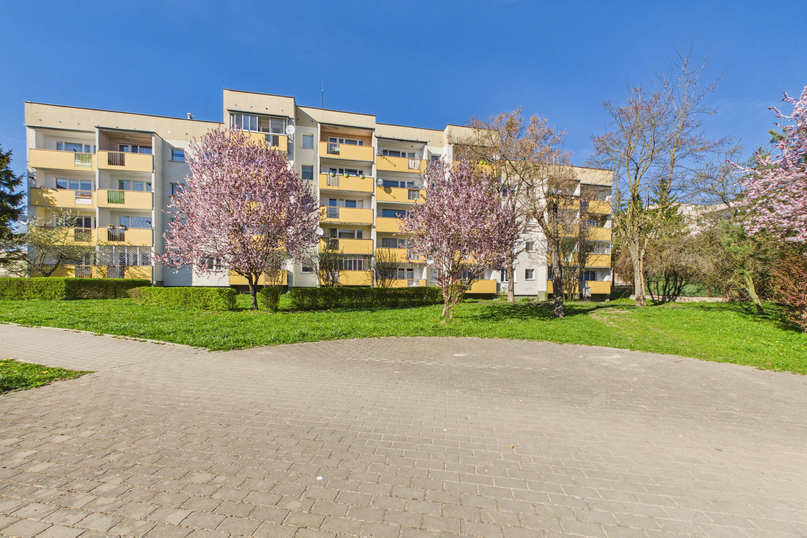 Zdjęcie 28