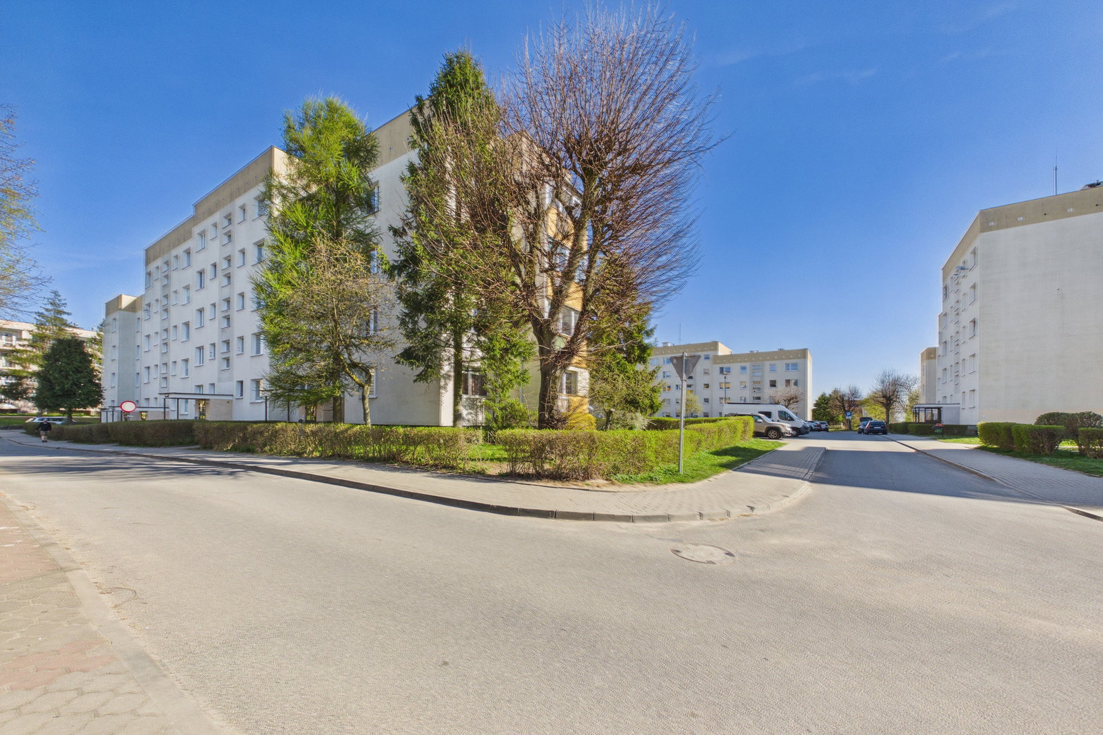 Zdjęcie 31
