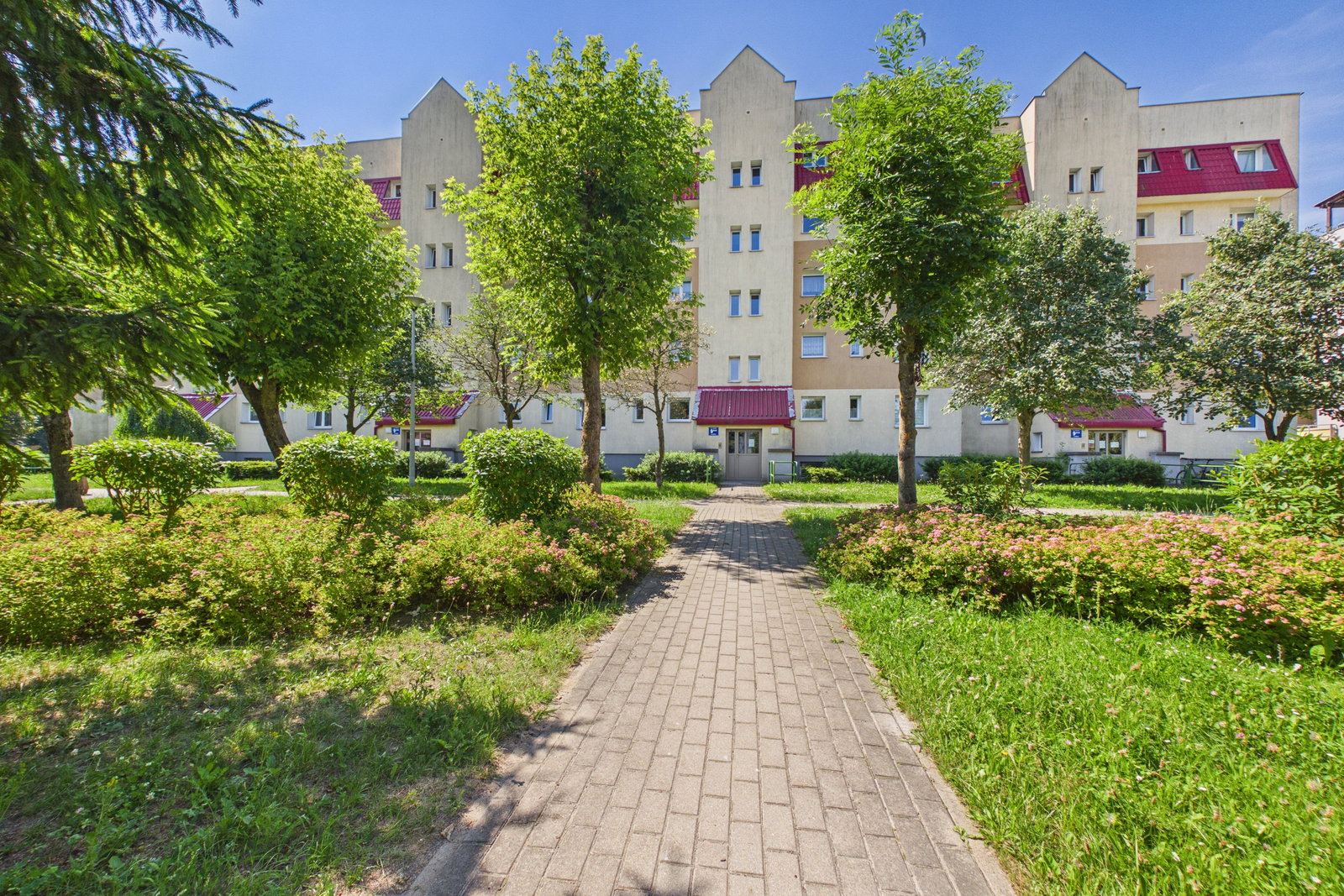 Zdjęcie 11