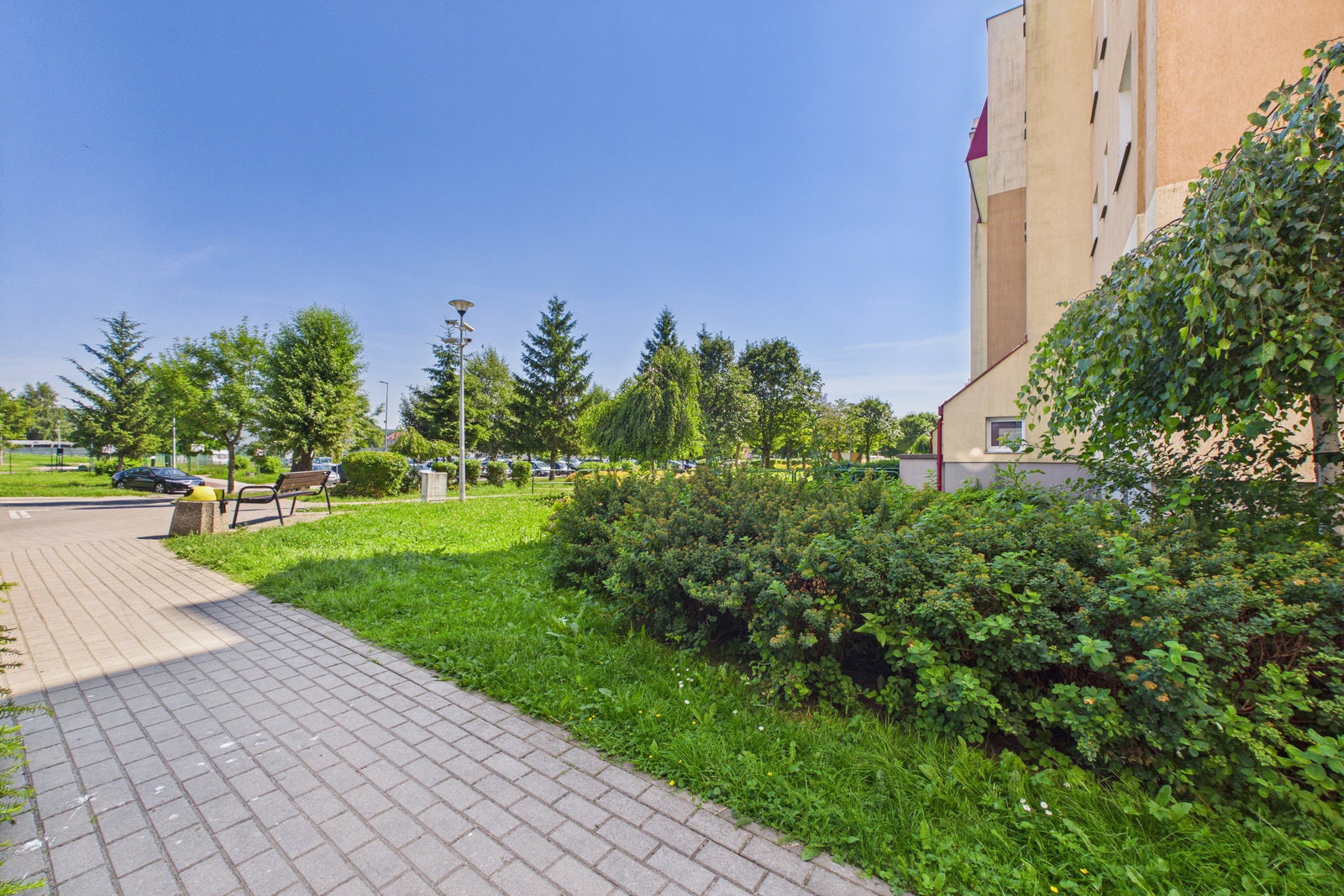 Zdjęcie 16
