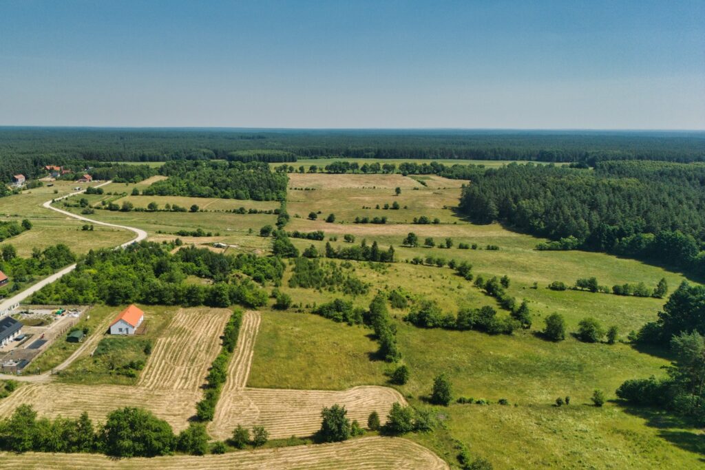 Pluski - dom typu stodoła, piękny widok - zdjęcie 37