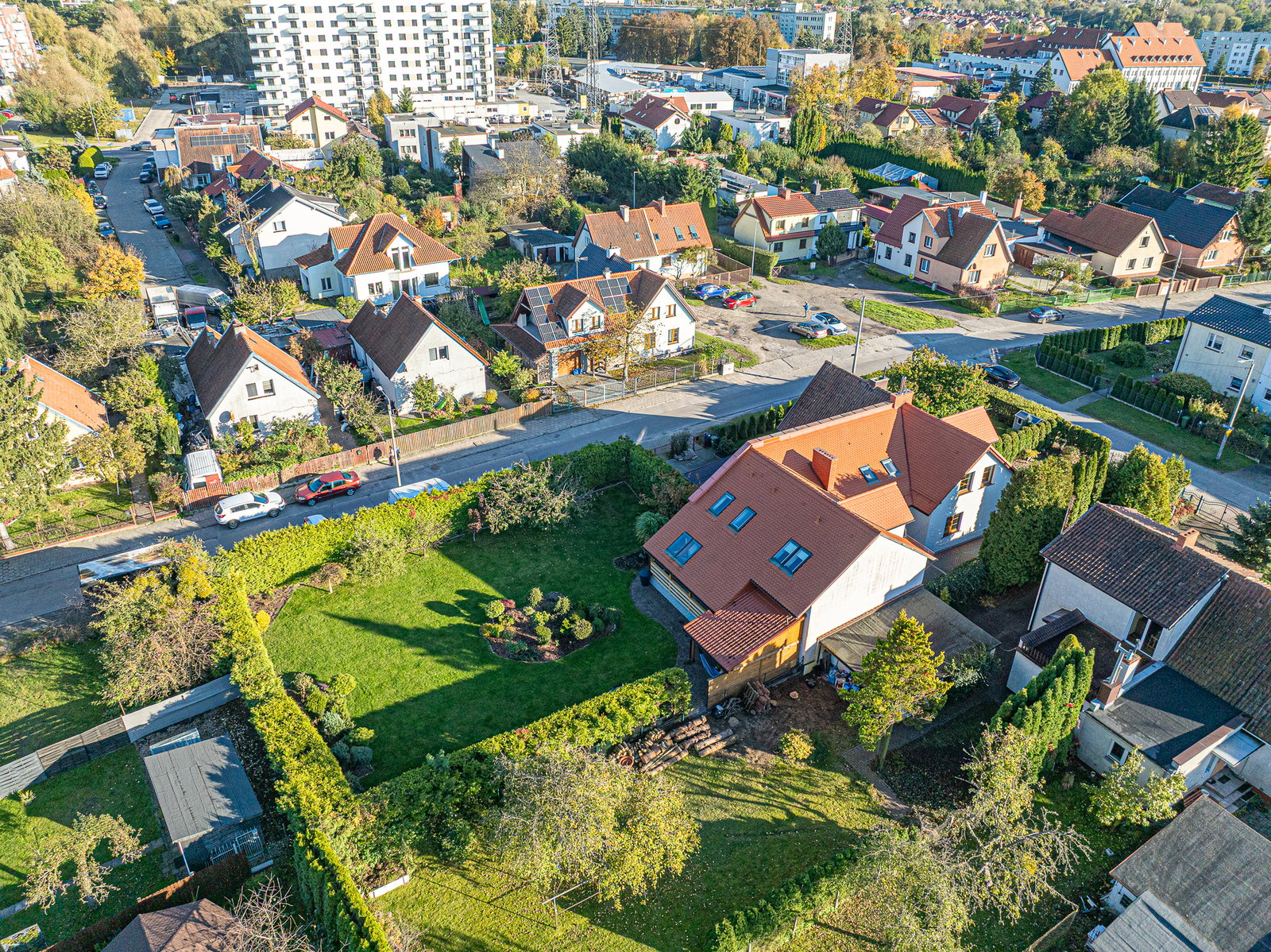 Zdjęcie 25