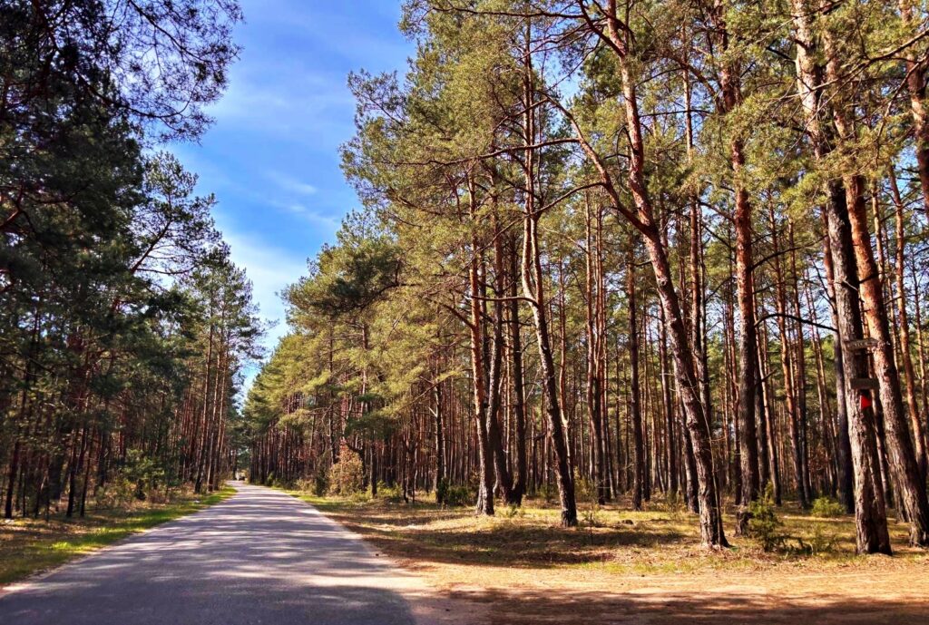 Działki w Kalinowie, Gmina Długosiodło - zdjęcie 7