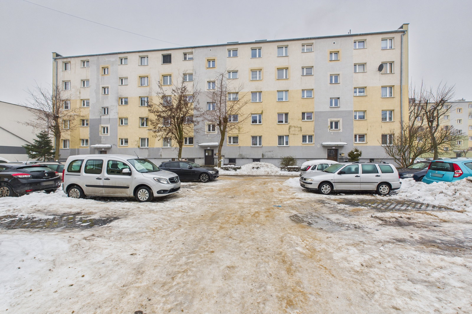 Zdjęcie 19