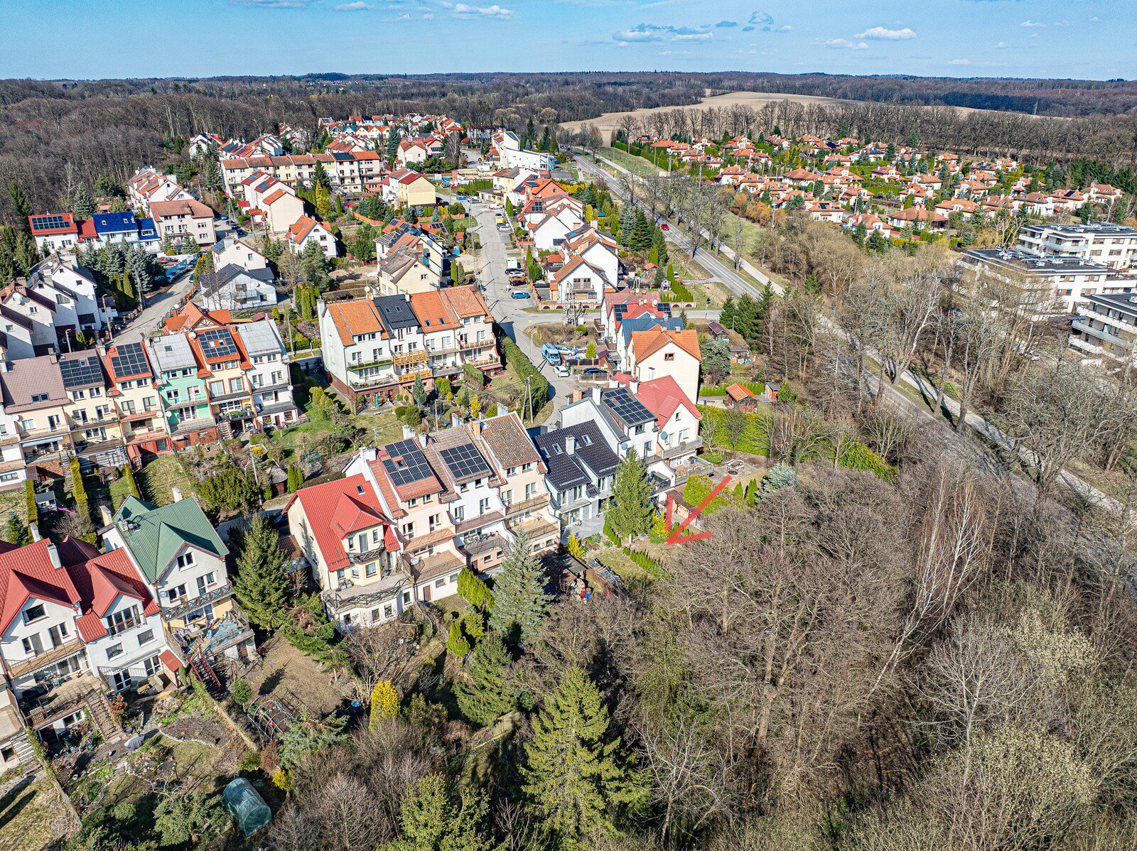 Zdjęcie 37