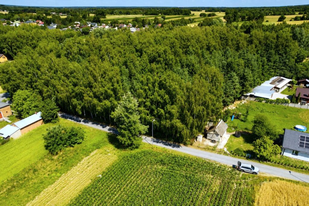 Działka budowlana 1000 m² | MPZP | 1,5 km Terespol - zdjęcie 4