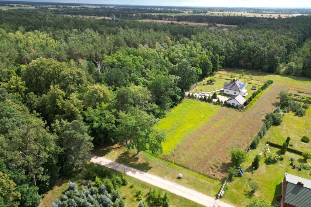 Działka budowlana z własnym lasem | 5804 m² | Hola - zdjęcie 2