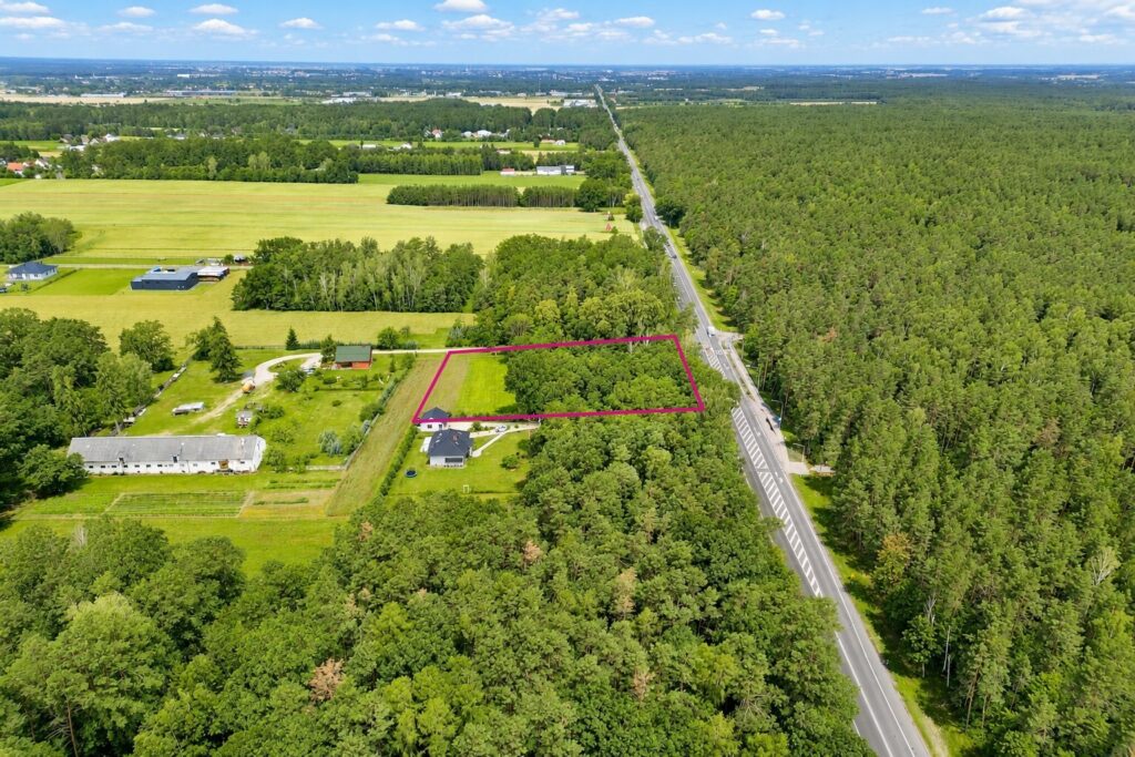 Działka budowlana z własnym lasem | 5804 m² | Hola - zdjęcie 3