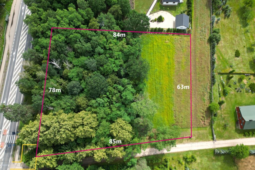 Działka budowlana z własnym lasem | 5804 m² | Hola - zdjęcie 4