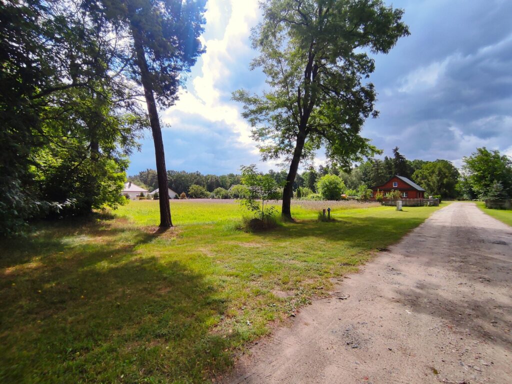 Działka budowlana z własnym lasem | 5804 m² | Hola - zdjęcie 6