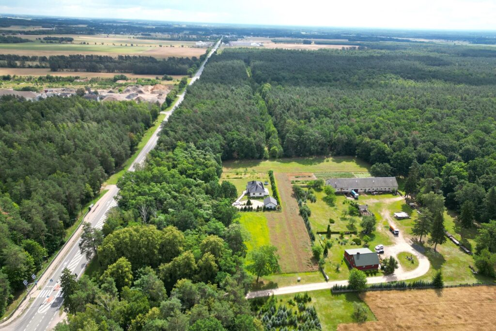 Działka budowlana z własnym lasem | 5804 m² | Hola - zdjęcie 9