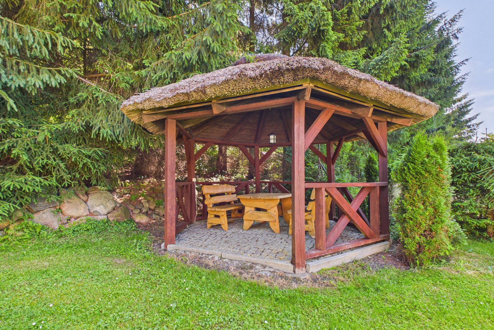 Zdjęcie 15