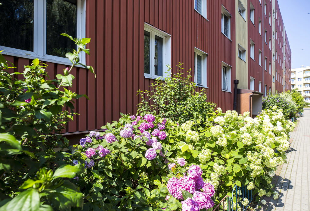 3 pokojowe rozkładowe mieszkanie na osiedlu Kmity - zdjęcie 15