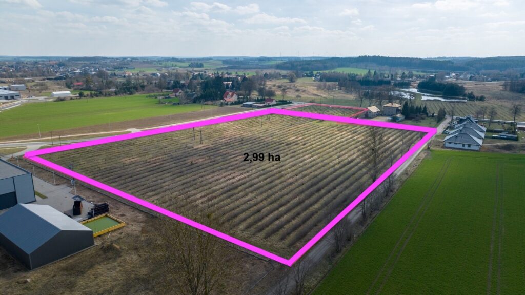 Działka przemysłowo-inwestycyjna o pow. 29 900 m² - zdjęcie 3