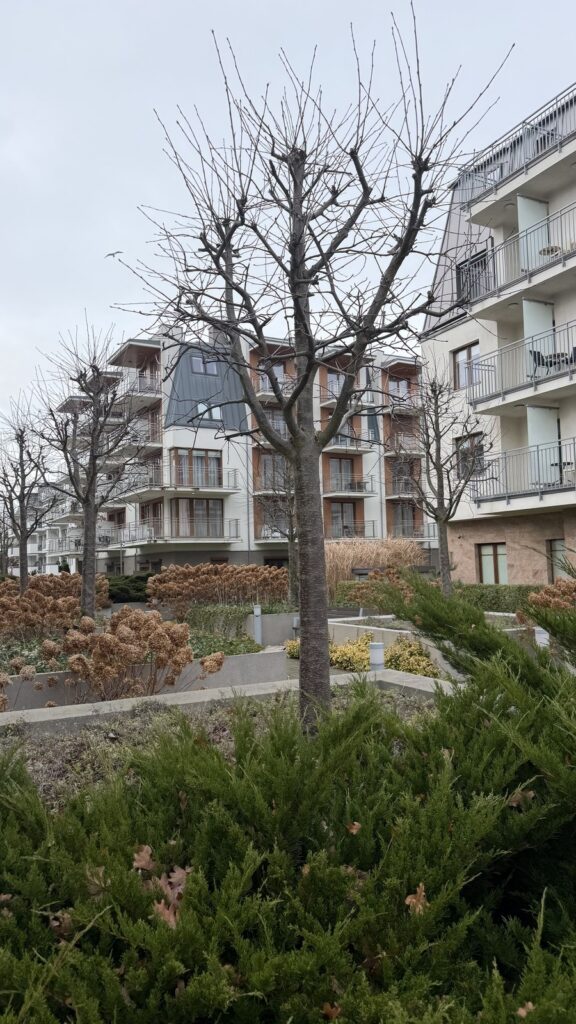 Aquamarina Studio z balkonem i garażem - zdjęcie 13