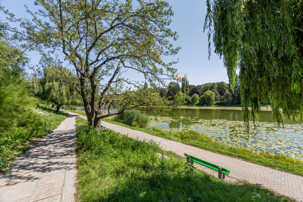 2 pokoje, Praga Południe, blisko parku i uczelni. - zdjęcie 35