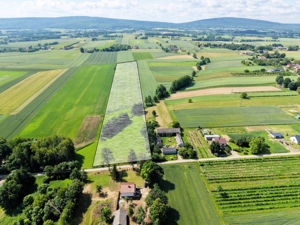Na sprzedaż  działka 3,12 ha w otulinie Parku - zdjęcie 1
