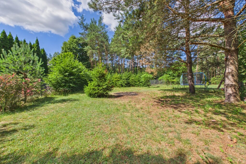 Dwa domy na działce 1852 m2 Wieck/Bory Tucholskie - zdjęcie 18