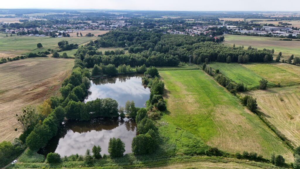Działka 3,61 ha ze stawem i gruntem rolnym - zdjęcie 4