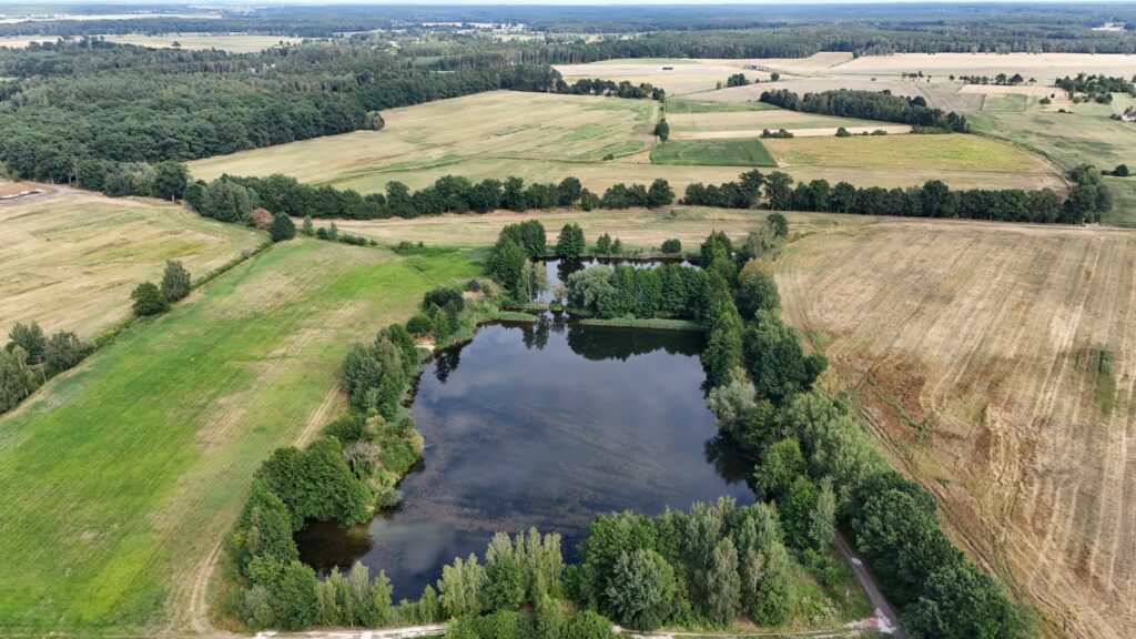Działka 3,61 ha ze stawem i gruntem rolnym - zdjęcie 5