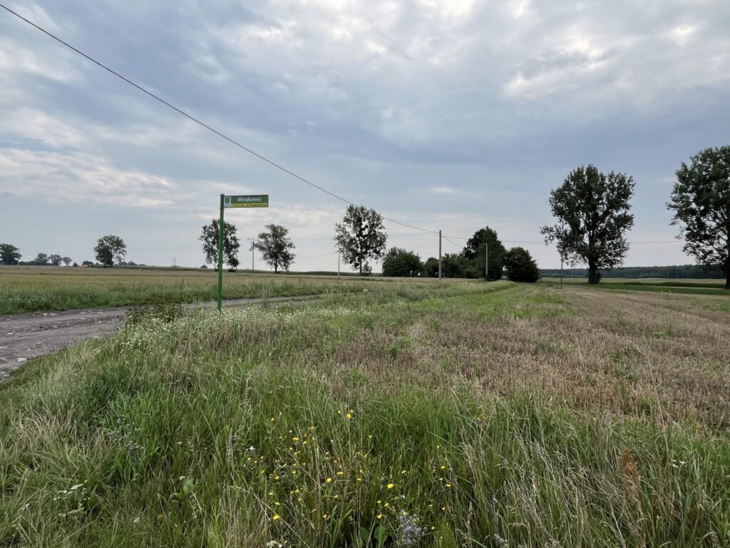 Działka w Grodnie pod zabudowę jednorodzinną - zdjęcie 7