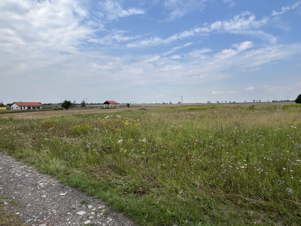 Działka w Grodnie pod zabudowę jednorodzinną - zdjęcie 8