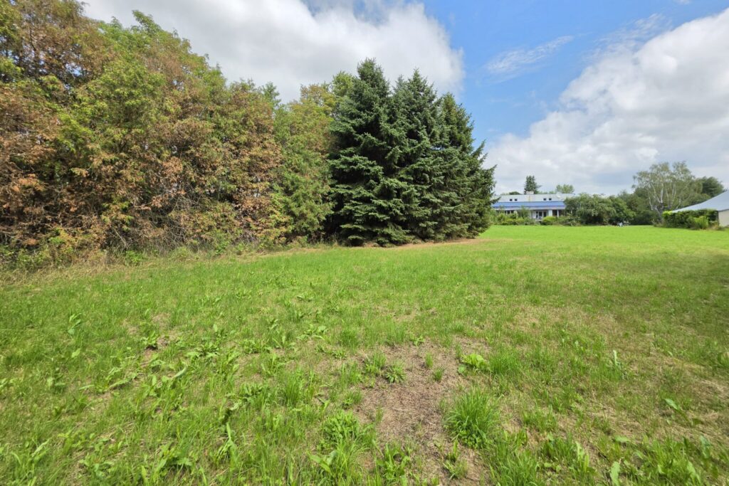 Działka budowlana 1000 m² | MPZP | 1,5 km Terespol - zdjęcie 6