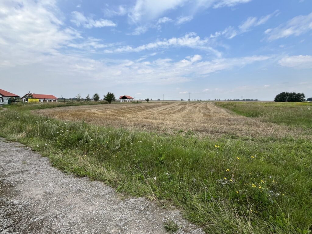 Działka w Grodnie pod zabudowę jednorodzinną - zdjęcie 13