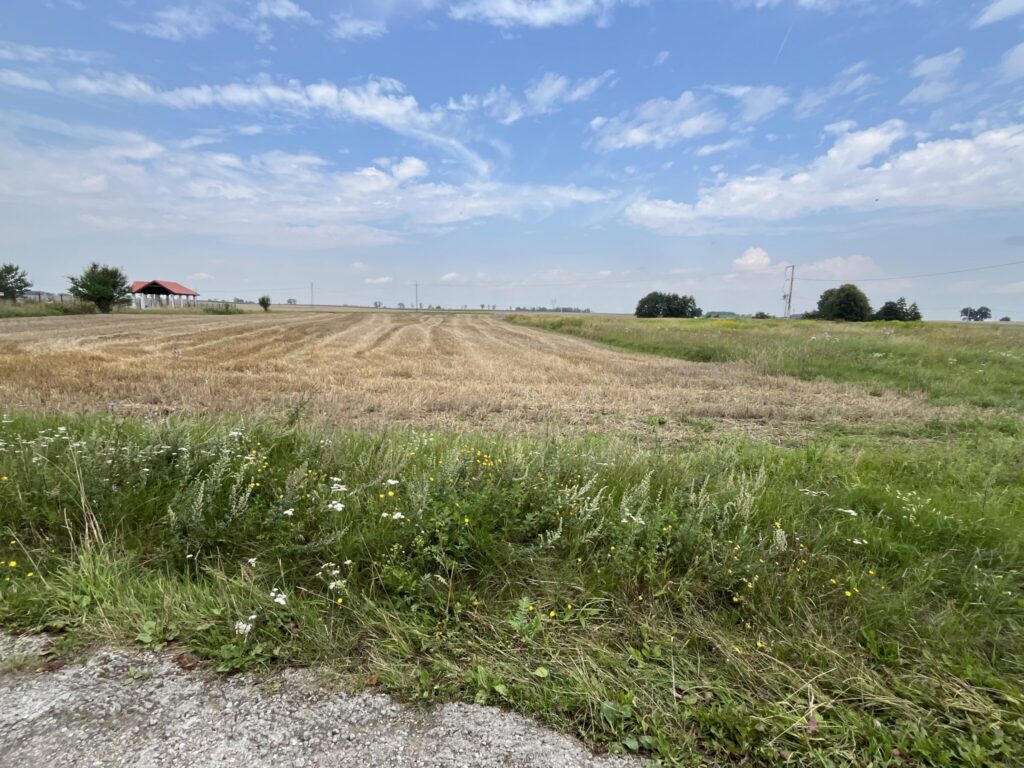 Działka w Grodnie pod zabudowę jednorodzinną - zdjęcie 14