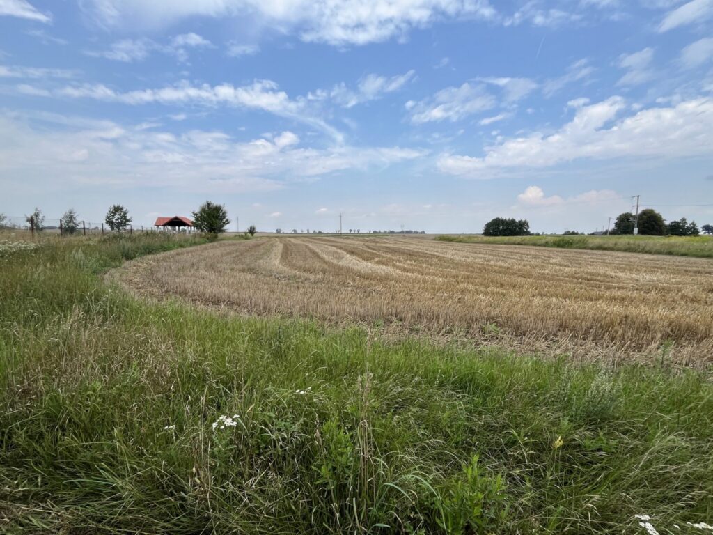 Działka w Grodnie pod zabudowę jednorodzinną - zdjęcie 16