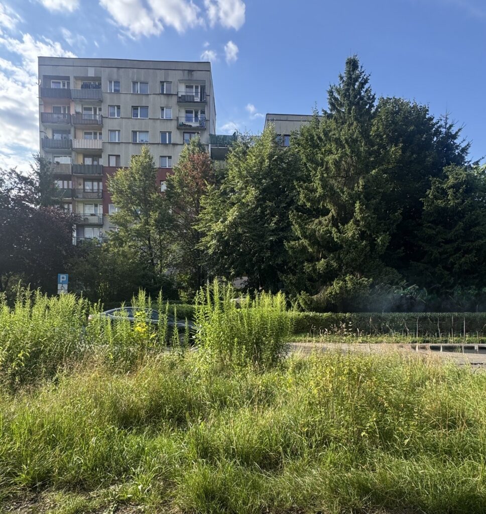 Wygodne i ładne 3 pok. z tarasem i garderobą. - zdjęcie 14