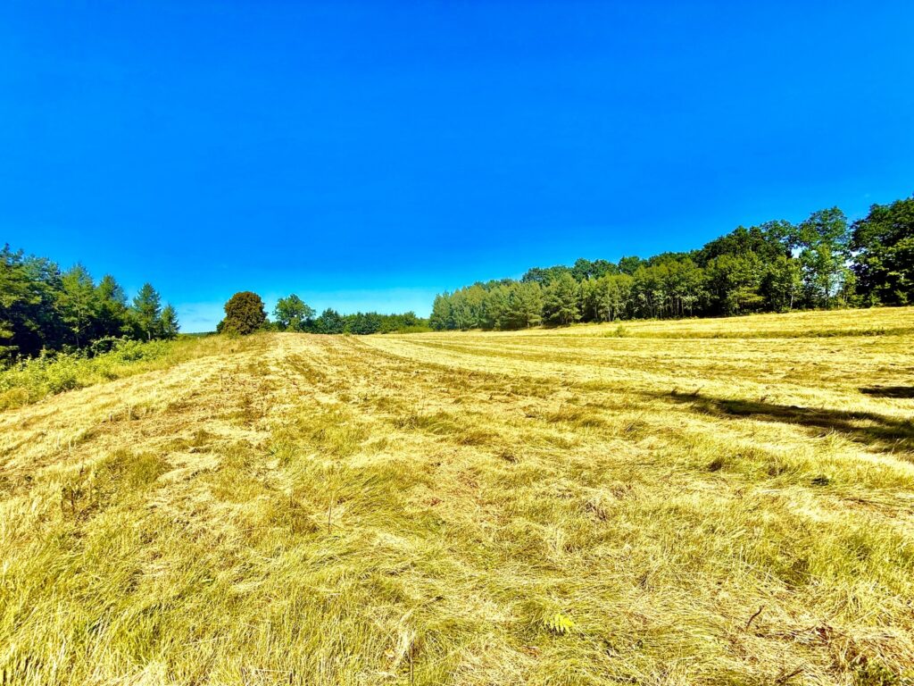 Działka Budowlana nr 664/15 - zdjęcie 2