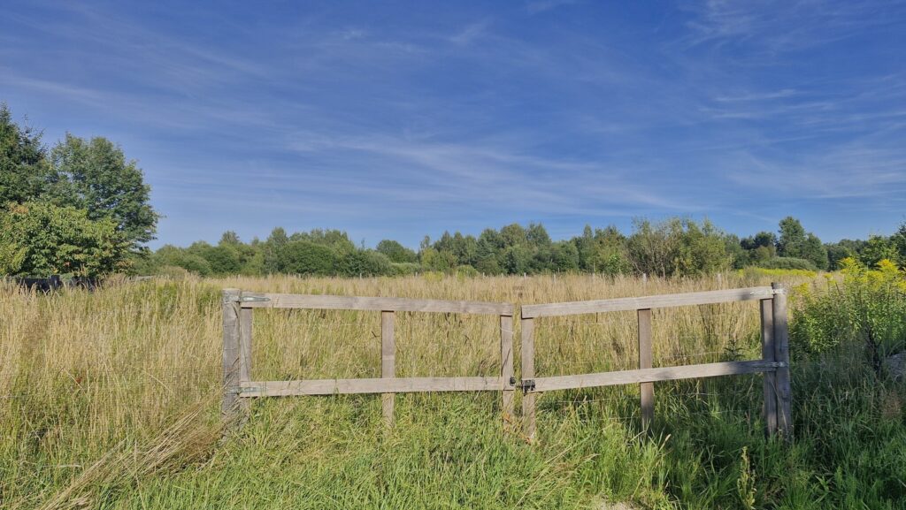 Działka 789 m² z pozwoleniem – Patryki - zdjęcie 13