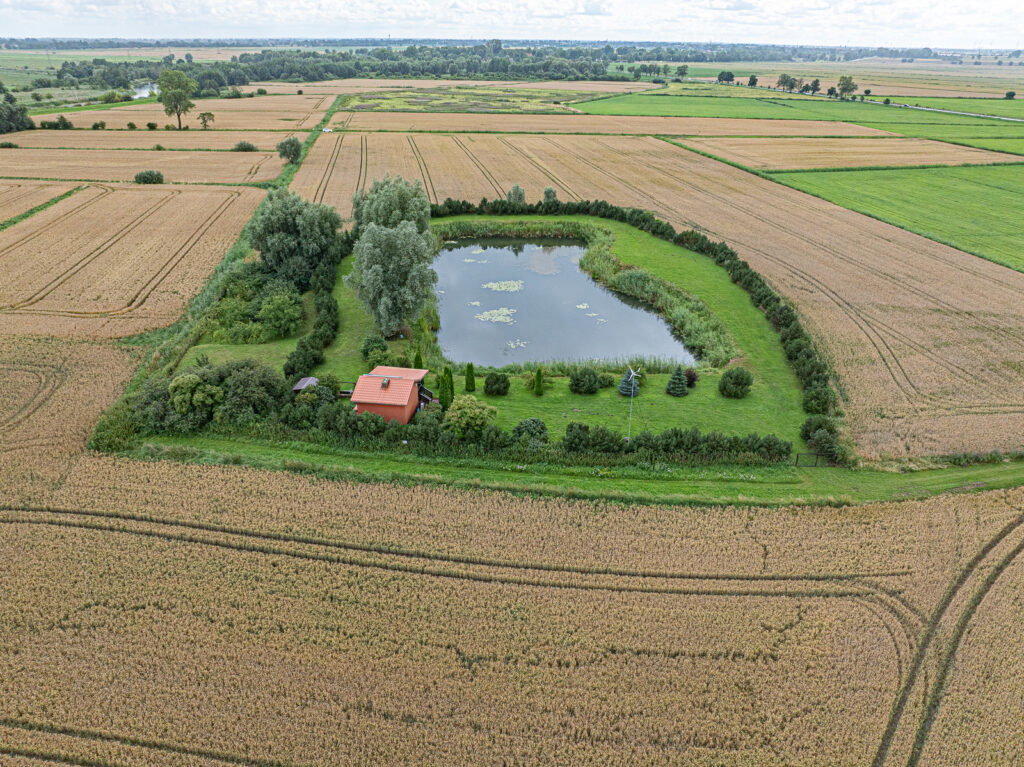 Działka 1ha z prywatnym stawem z dala od zgiełku - zdjęcie 2