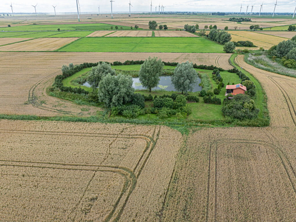 Działka 1ha z prywatnym stawem z dala od zgiełku - zdjęcie 4