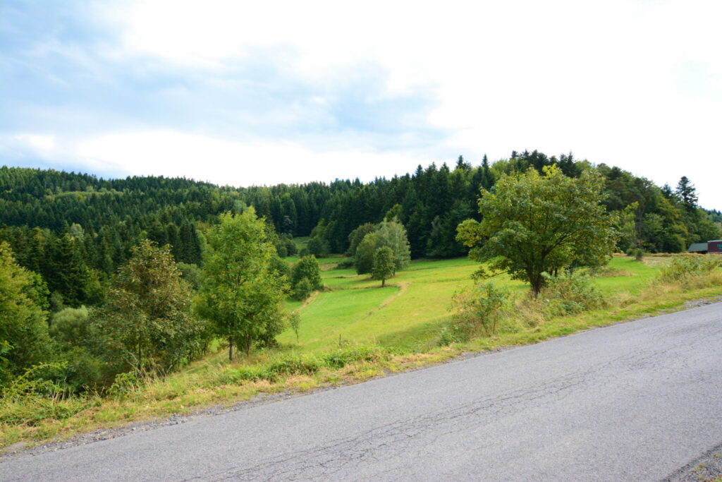 Działki 76 arów z potencjałem inwestycyjnym - zdjęcie 6