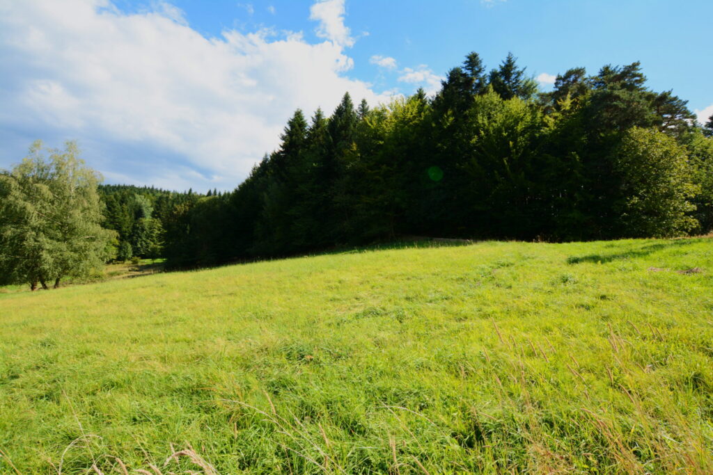 Działki 76 arów z potencjałem inwestycyjnym - zdjęcie 15