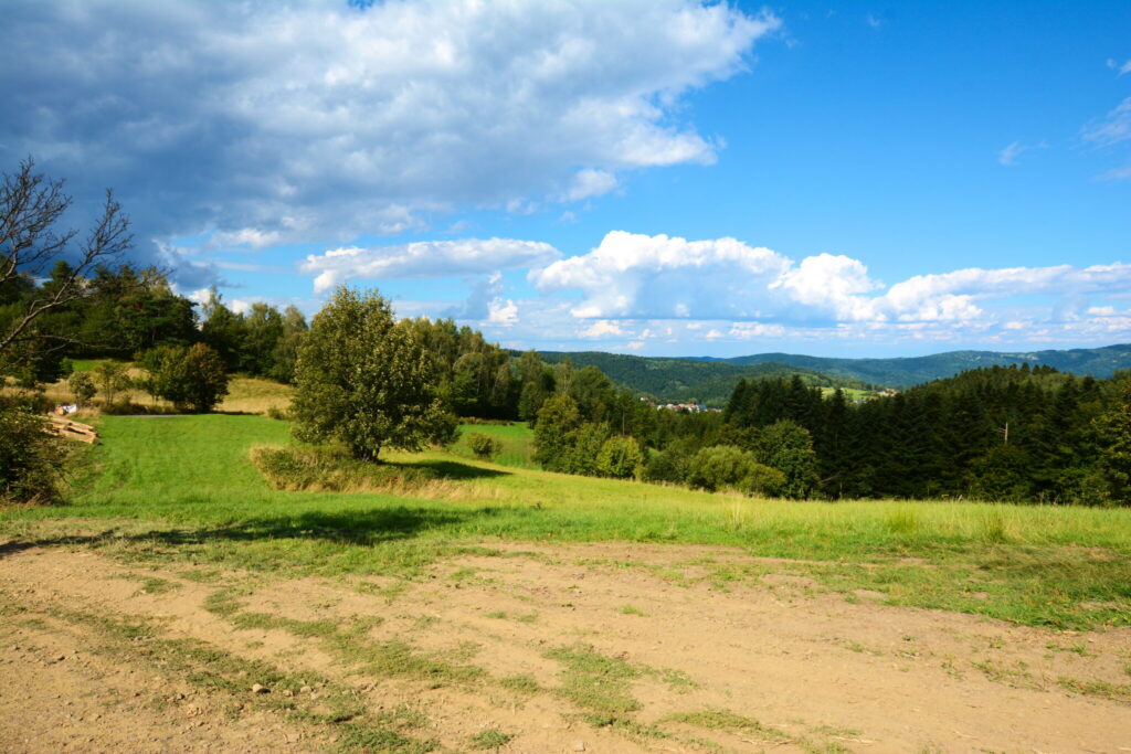 Działki 76 arów z potencjałem inwestycyjnym - zdjęcie 16