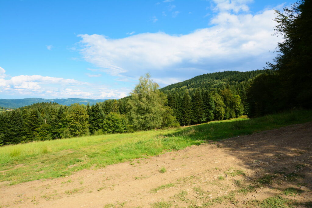 Działki 76 arów z potencjałem inwestycyjnym - zdjęcie 17