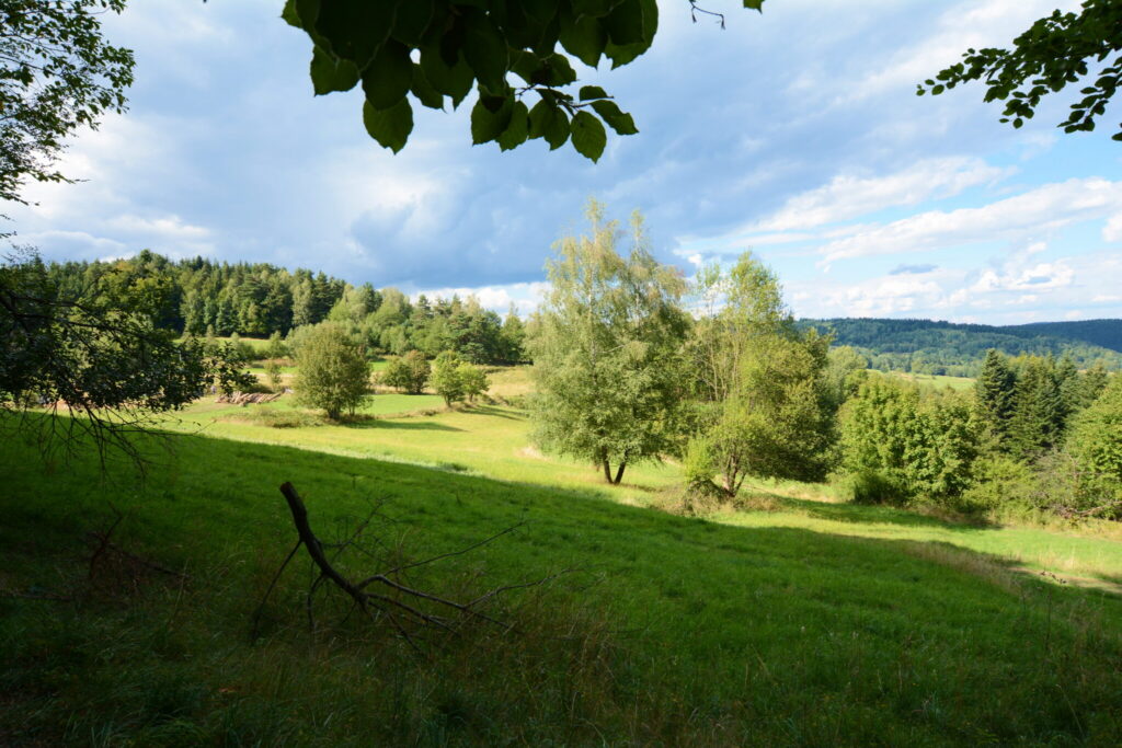 Działki 76 arów z potencjałem inwestycyjnym - zdjęcie 19