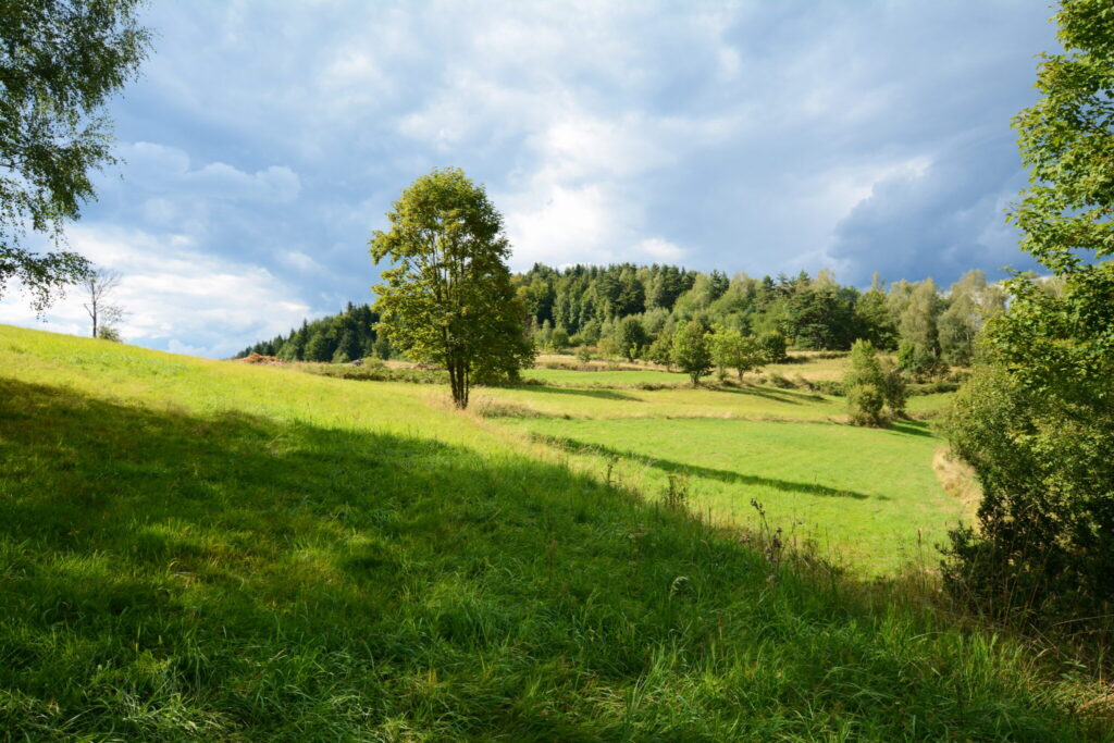 Działki 76 arów z potencjałem inwestycyjnym - zdjęcie 22