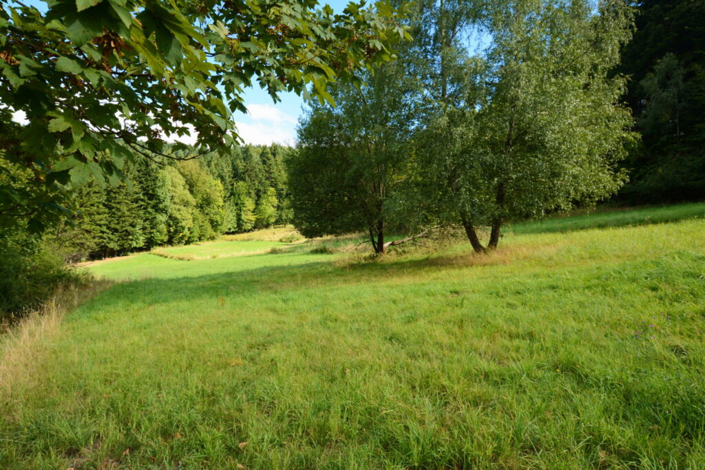 Działki 76 arów z potencjałem inwestycyjnym - zdjęcie 25