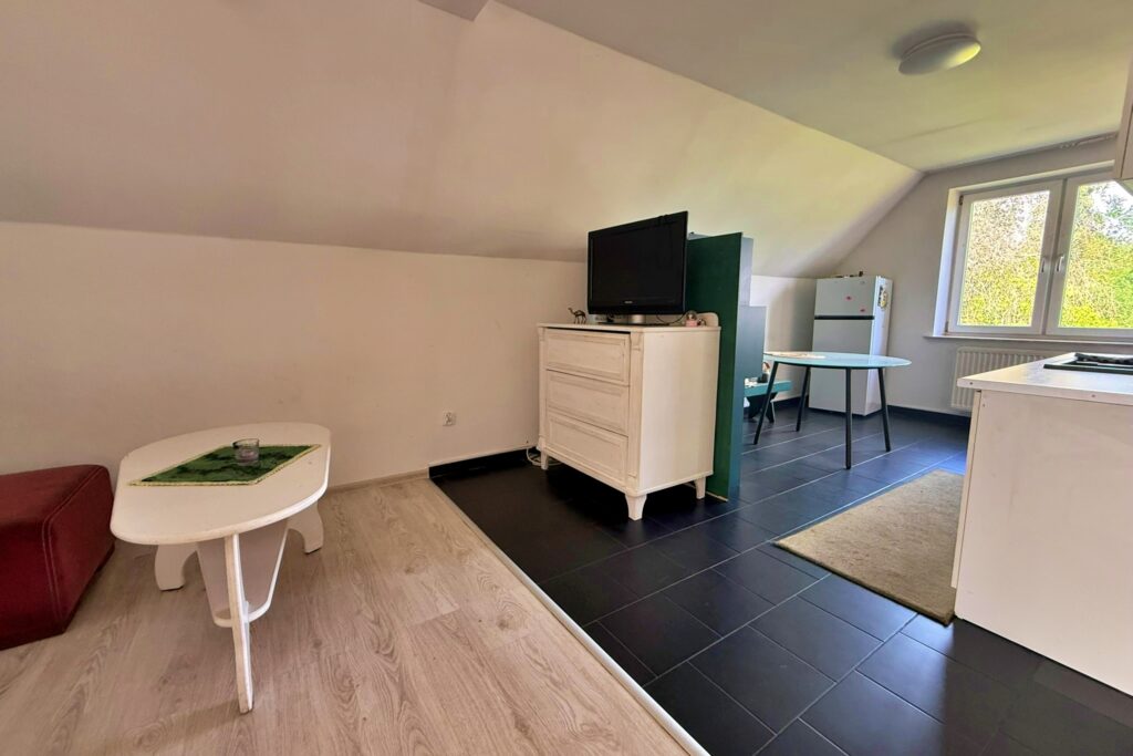 Dom 250m2 z dużą działką - Myślibórz (Golina) - zdjęcie 14