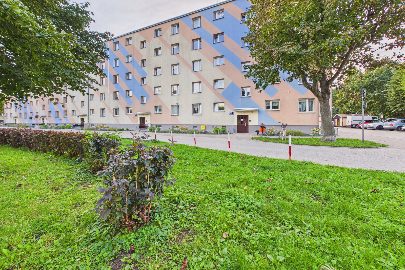 Zdjęcie 11