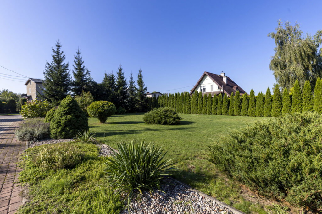 Klimatyczny dom drewniany z dużą działką 3100 m² - zdjęcie 17